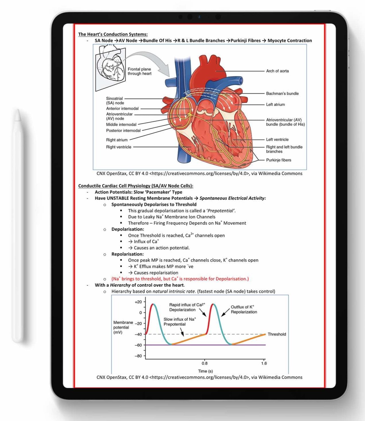 ALL 21 SUBJECTS (80% OFF BUNDLE)