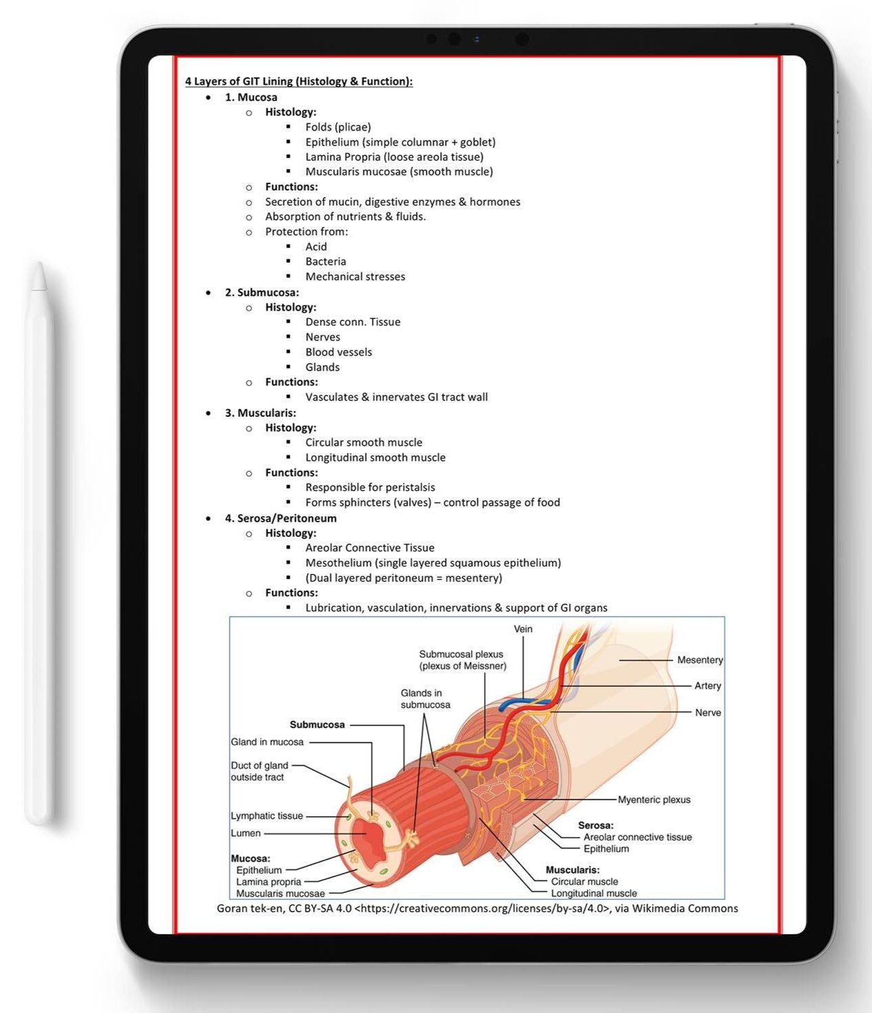 ALL 21 SUBJECTS (80% OFF BUNDLE)