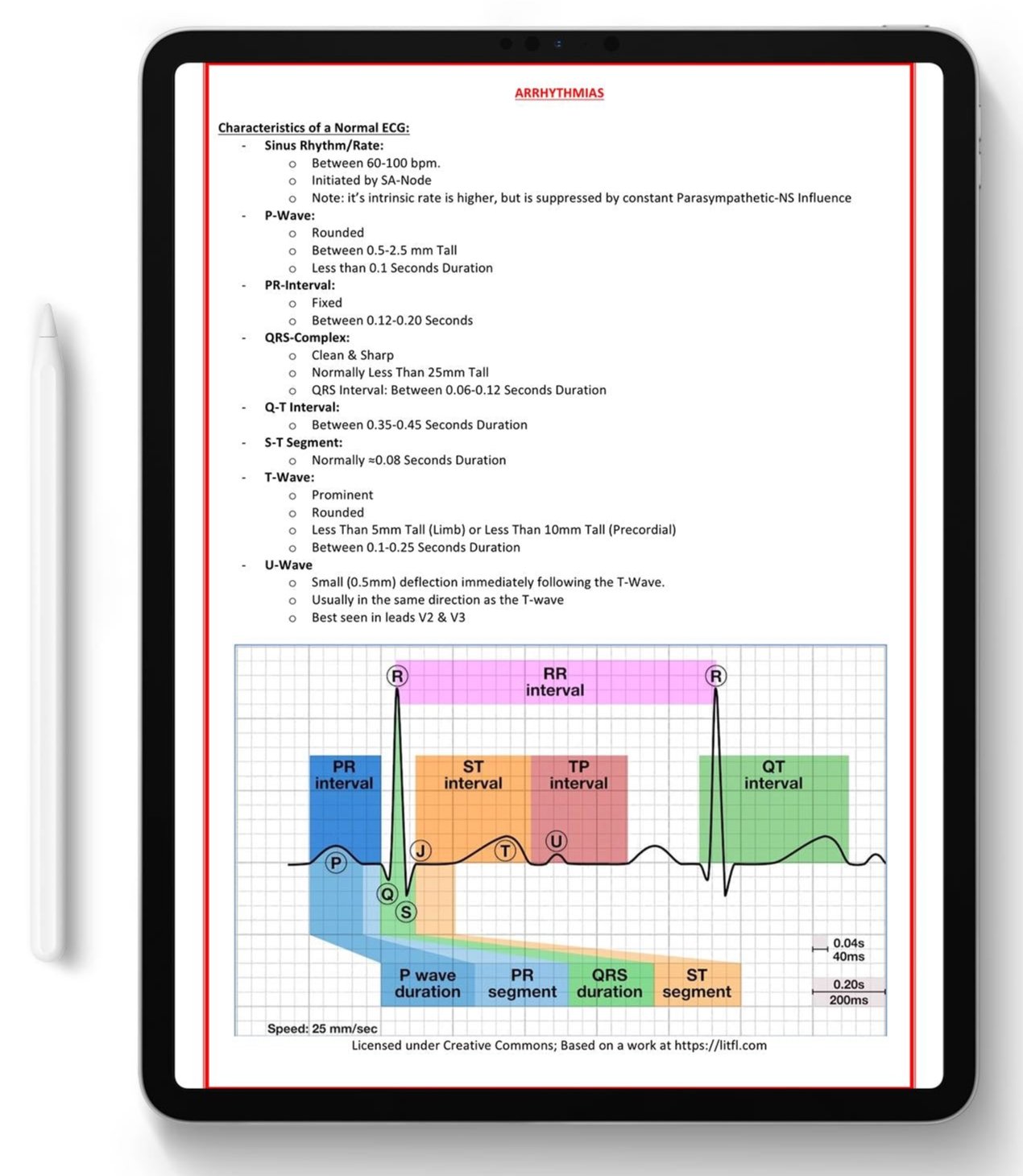 ALL 21 SUBJECTS (80% OFF BUNDLE)