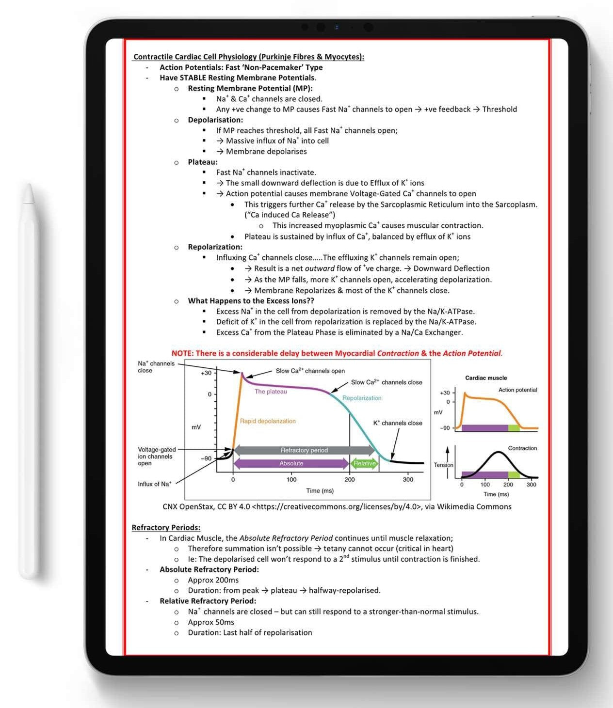 ALL 21 SUBJECTS (80% OFF BUNDLE)