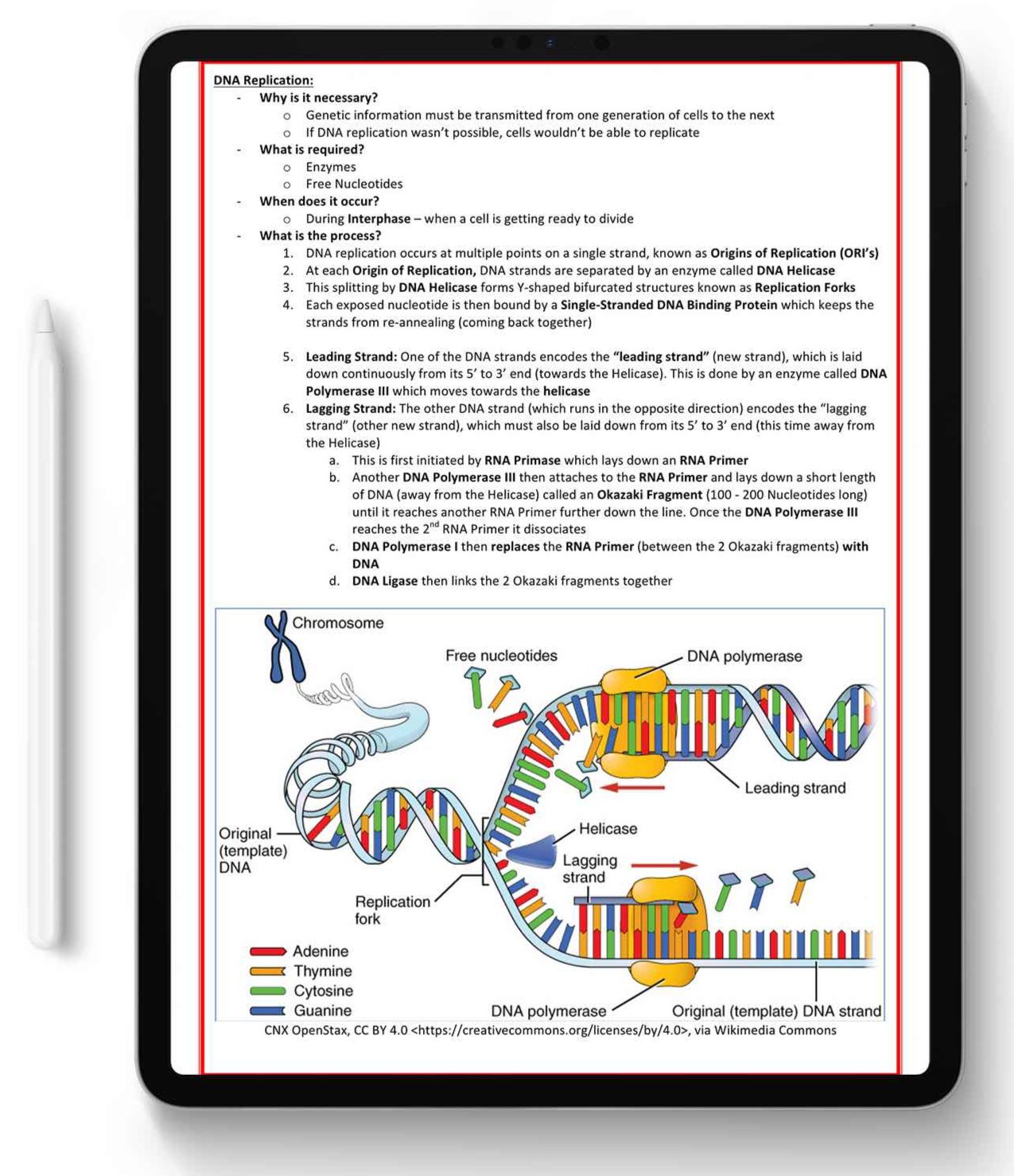 ALL 21 SUBJECTS (80% OFF BUNDLE)