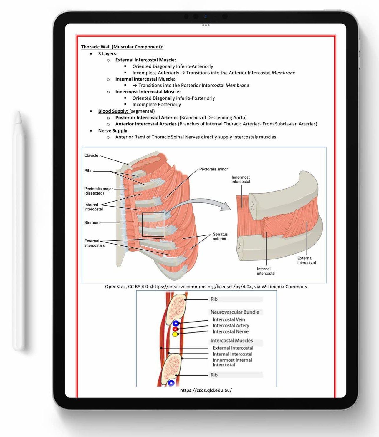 ALL 21 SUBJECTS (80% OFF BUNDLE)