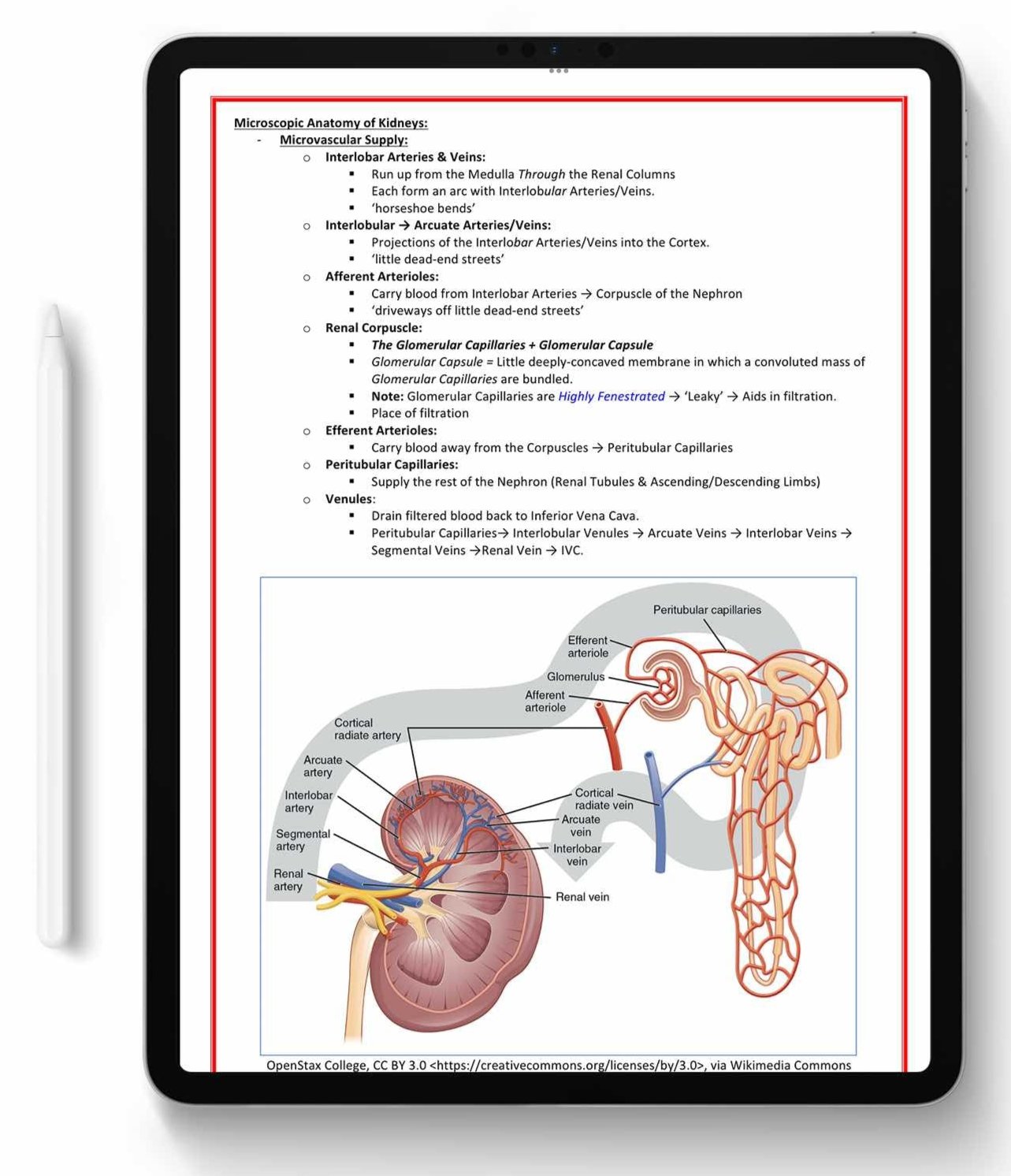 ALL 21 SUBJECTS (80% OFF BUNDLE)