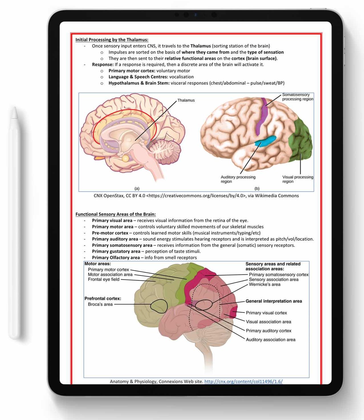 ALL 21 SUBJECTS (80% OFF BUNDLE)