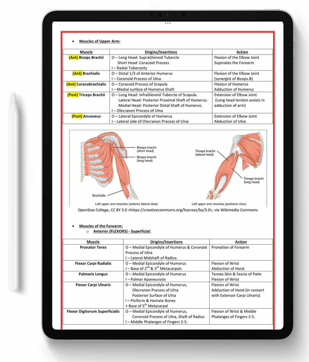 ALL 21 SUBJECTS (80% OFF BUNDLE)