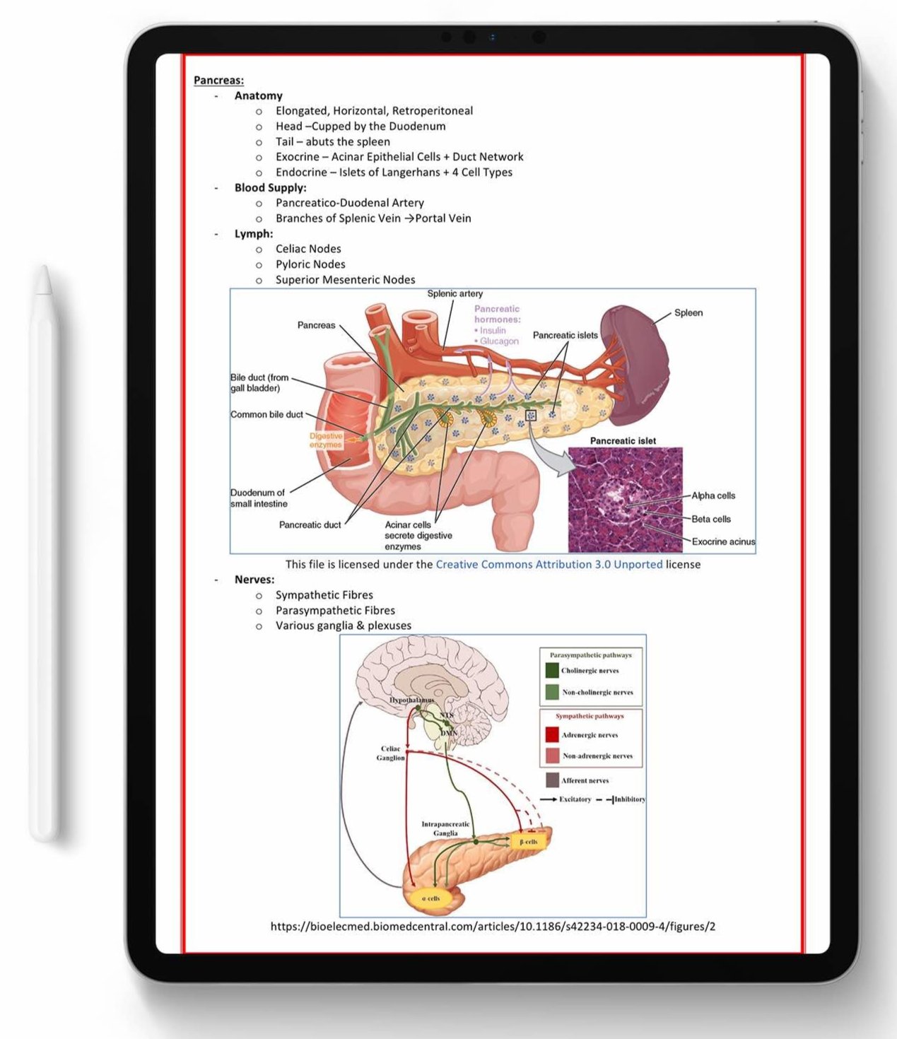 ALL 21 SUBJECTS (80% OFF BUNDLE)