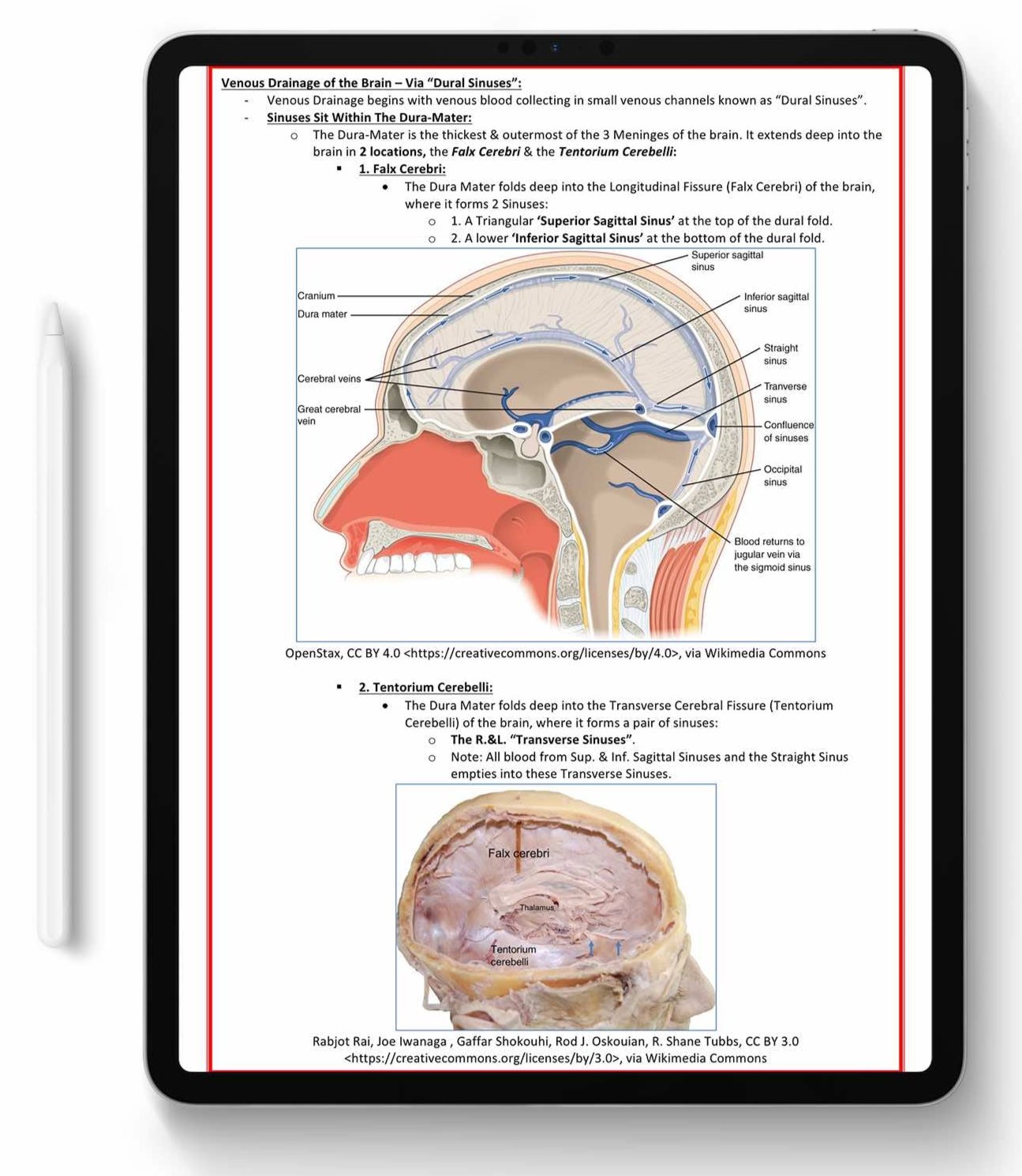 ALL 21 SUBJECTS (80% OFF BUNDLE)