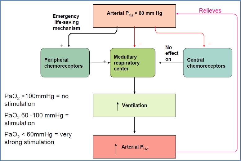 Arterial PO2