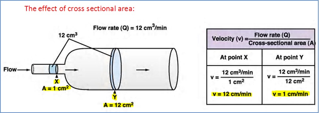 Hemodynamics: Effect of Diameter