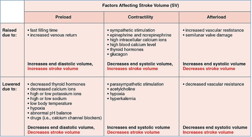 Factors affecting stroke volume & cardiac output