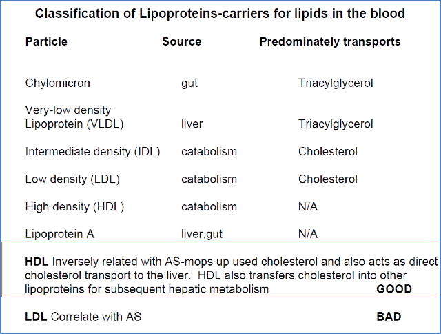 Classification of Lipoproteins - carriers for lipids in the blood