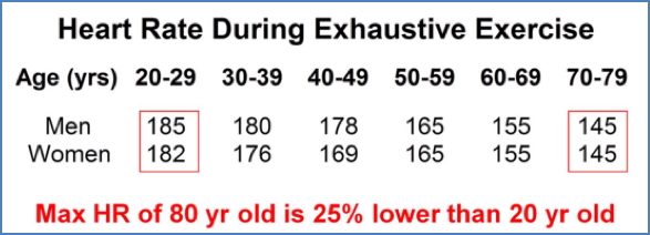 Max heart rate from young to old - ageing heart