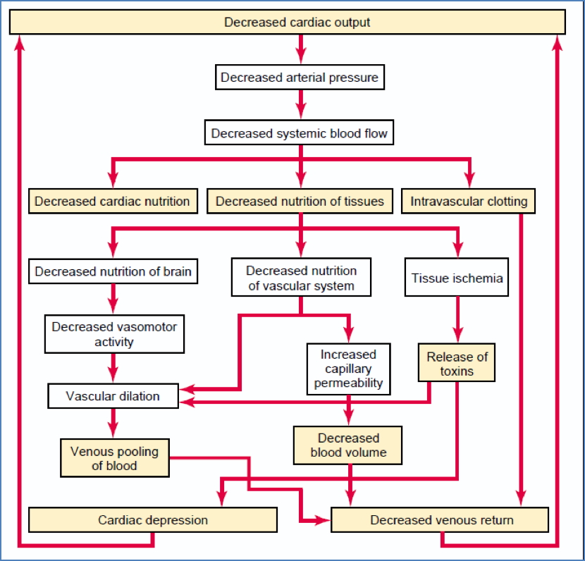Progressive Shock Physiology