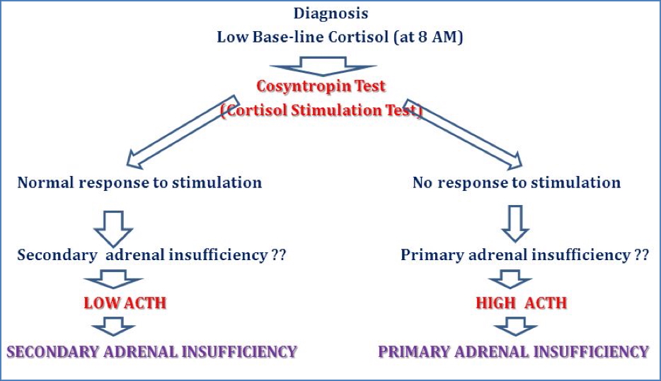 ADDISON’S DISEASE