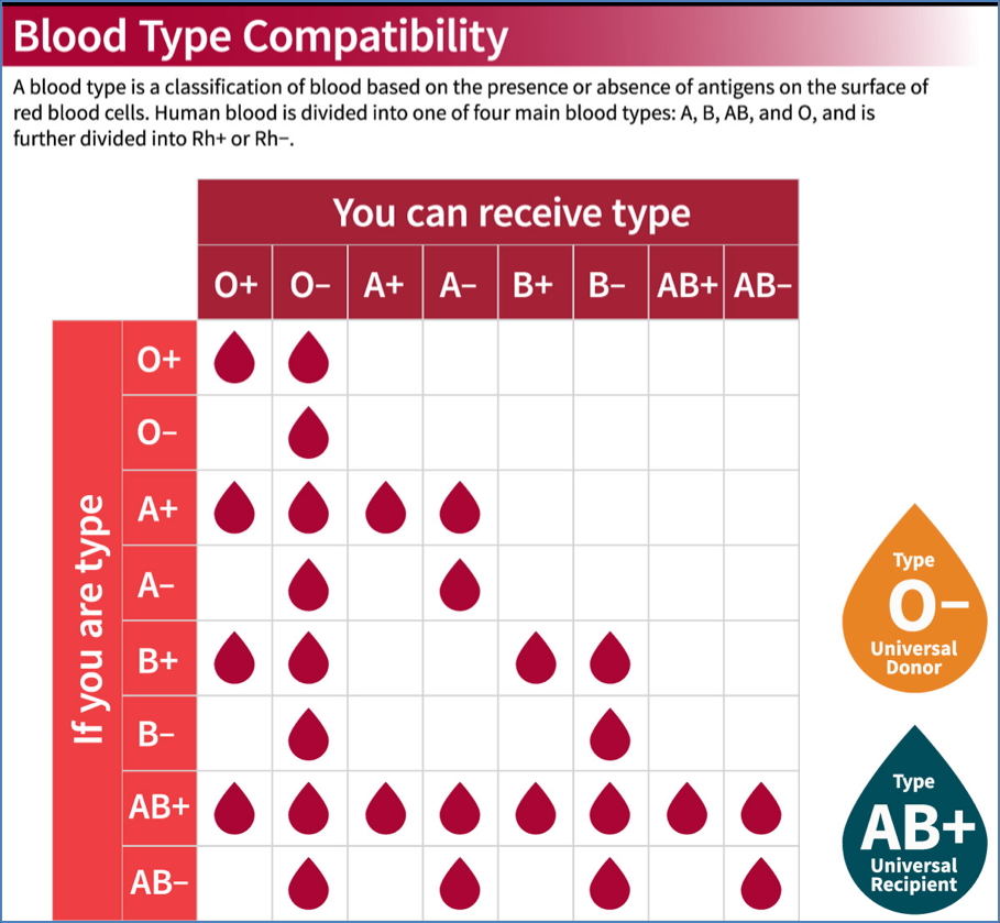 blood group compatibility