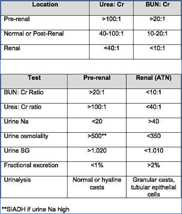 Investigations for Acute Renal Failure