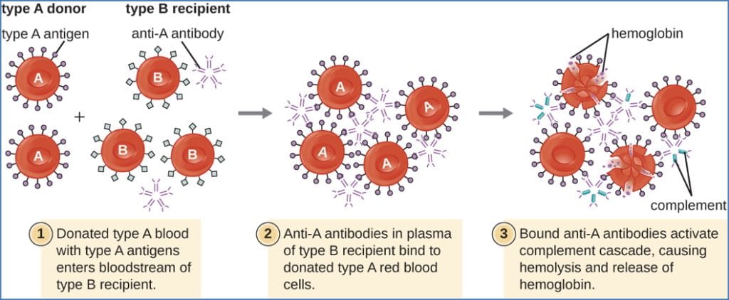 COMPLICATIONS OF BLOOD TRANSFUSION