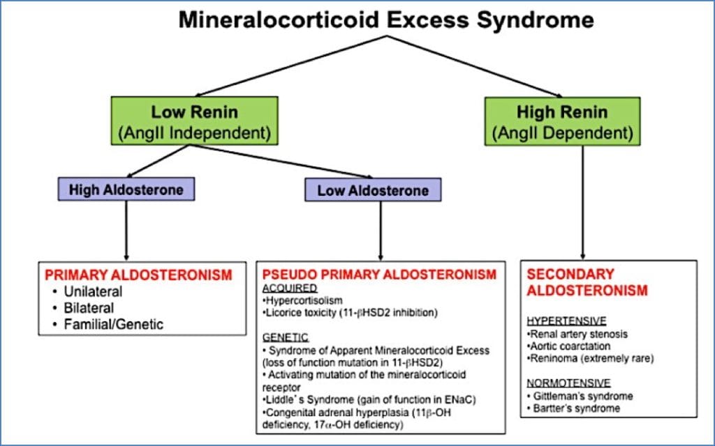 CONN’S SYNDROME