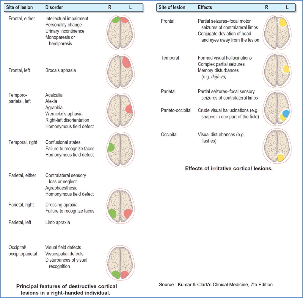 neurological patterns of Focal Brain Lesions