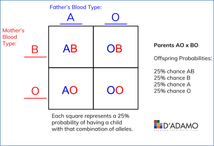 3 allelic genes (A, B & O)