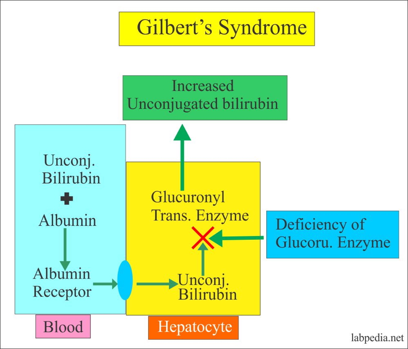 GILBERT’S SYNDROME