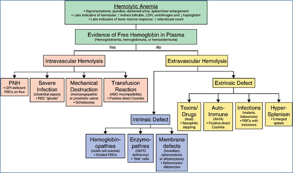 HAEMOLYTIC ANAEMIA