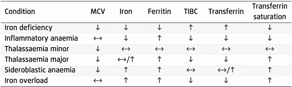 Iron Studies Interpretation