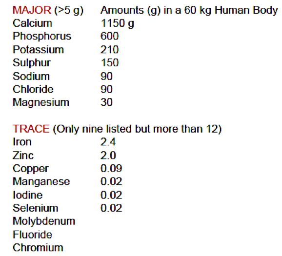 nutrition basics: Minerals