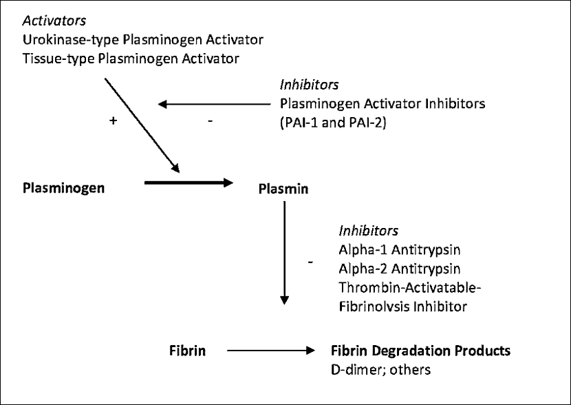 PHASE 3. FIBRINOLYSIS