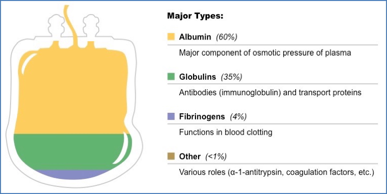 Plasma Proteins