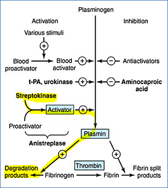 thrombolytics - Streptokinase