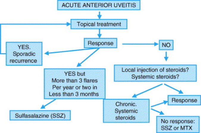 UVEITIS treatment algorithm