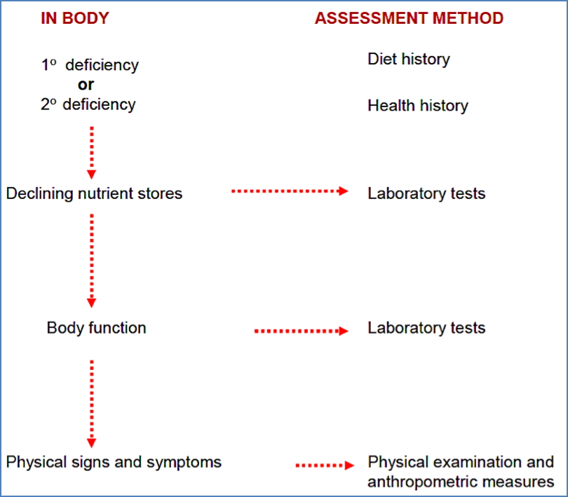 What to Assess & When