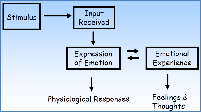 emotion theory
