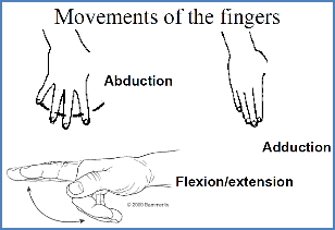 principles of biomechanics - hand movements