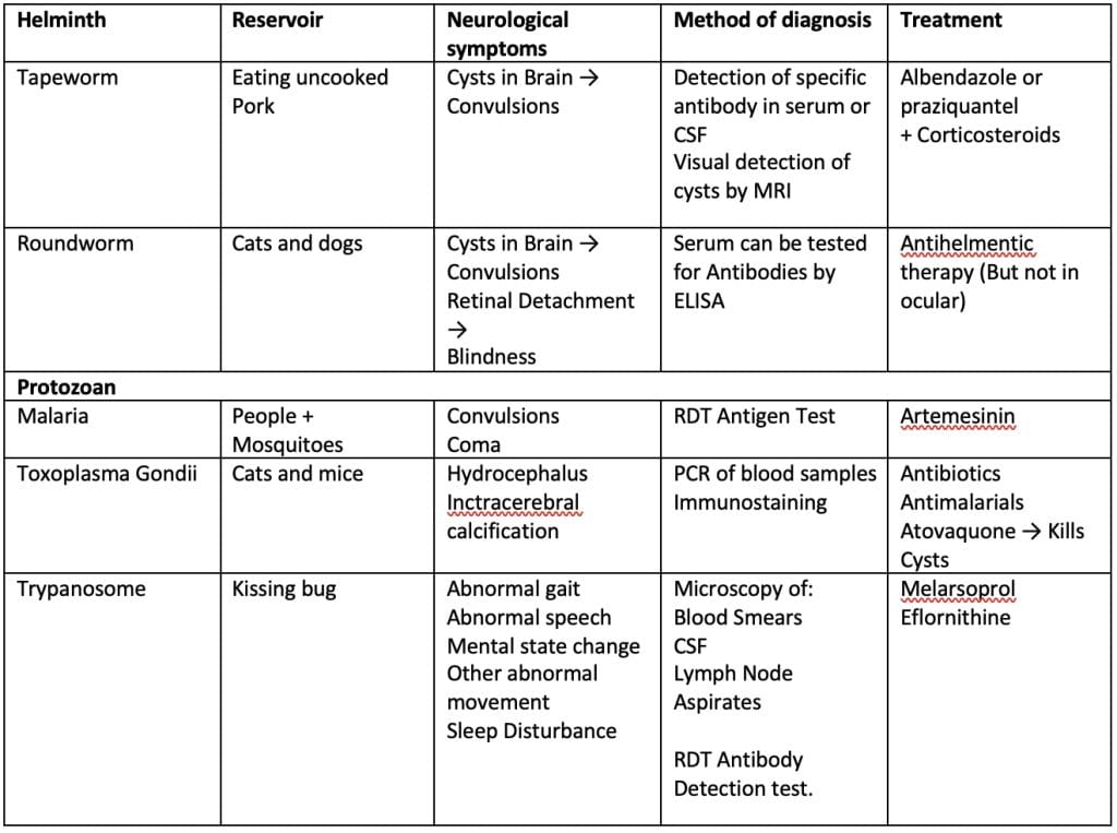 parasitic brain infections