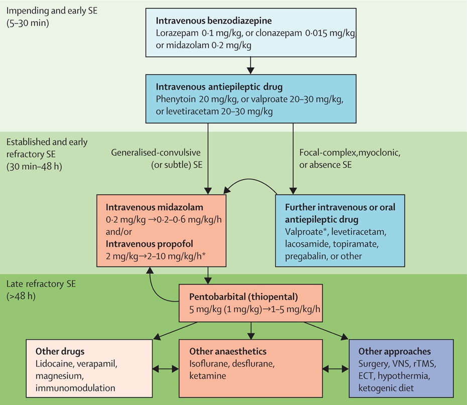 status epilepticus treatment