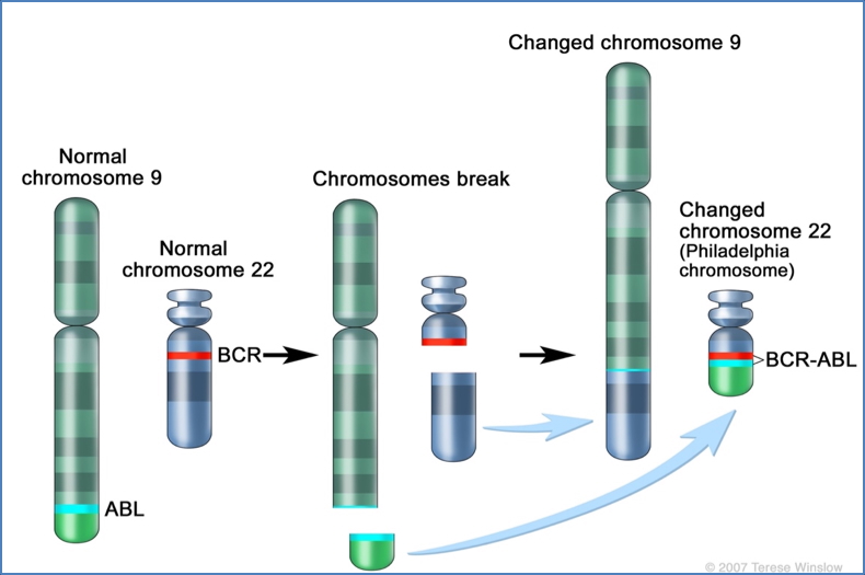 1- Inappropriate Activation of Proto-Oncogenes