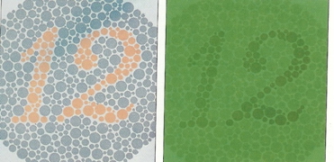 Colour vision testing