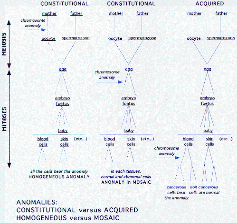 Abnormal Karyotypes