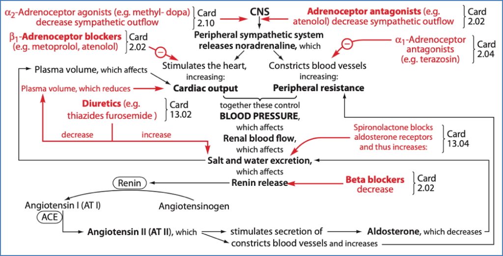 antihypertensive drugs: Alpha Blockers