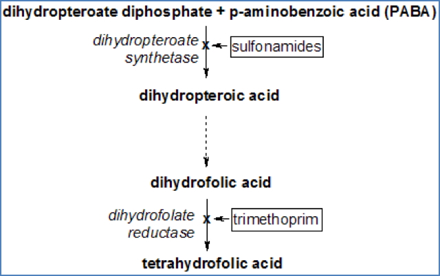 Anti Nucleic-Acid Synthesis Antibiotics