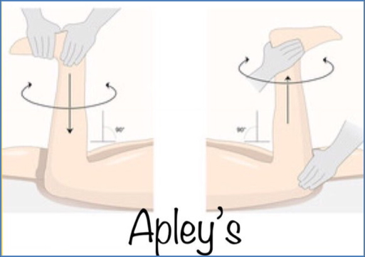the musculoskeletal examination: Apley’s Grind Test