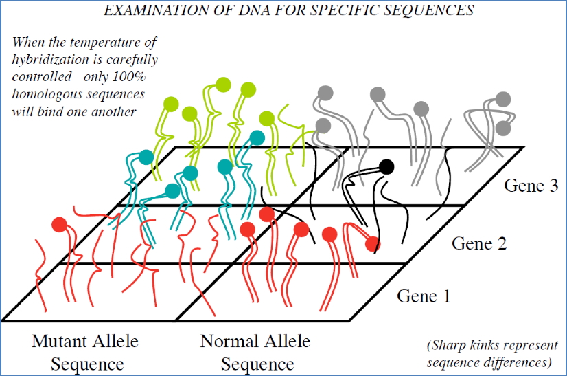 Applications of Genetic Screening