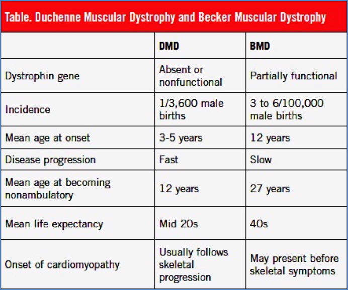 MUSCULAR DYSTROPHIES