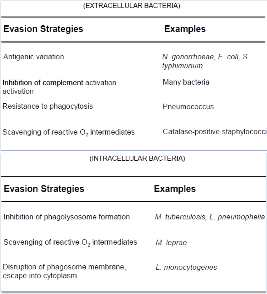 Bacterial Immune Evasion Strategies