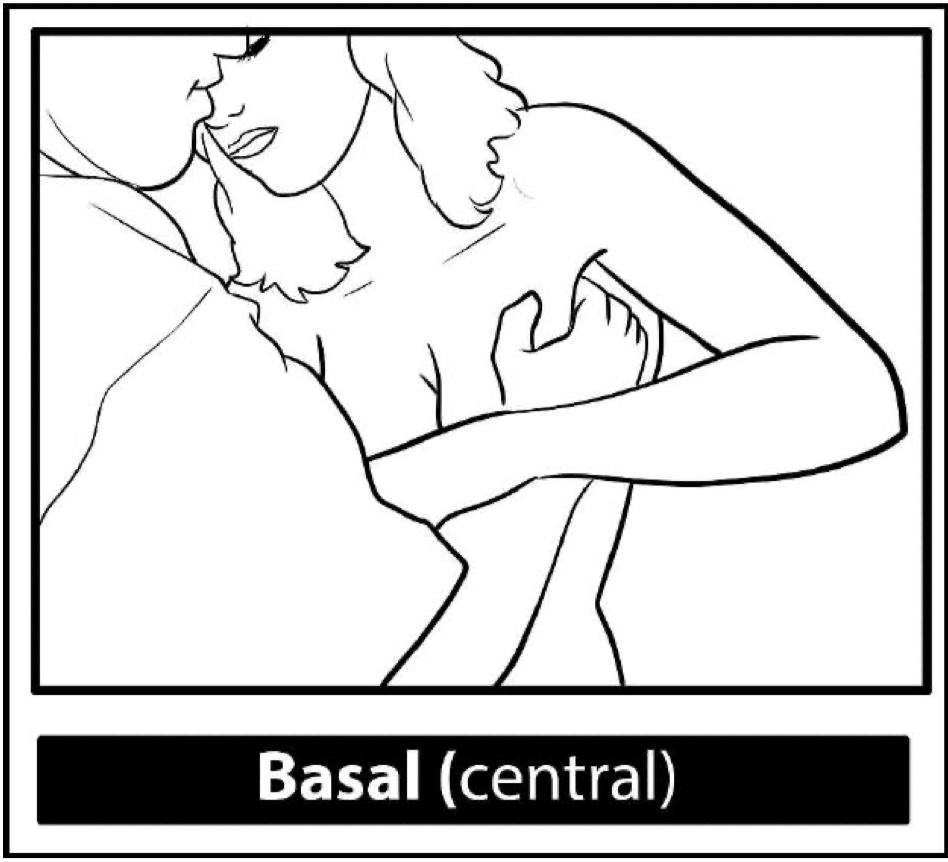 Breast Examination: Basal-palpation