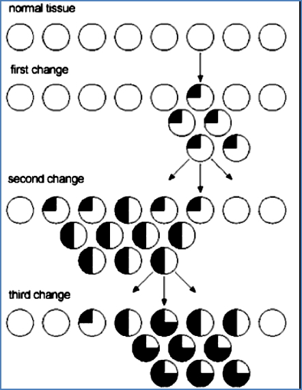 Cancer - A Game of Probabilities