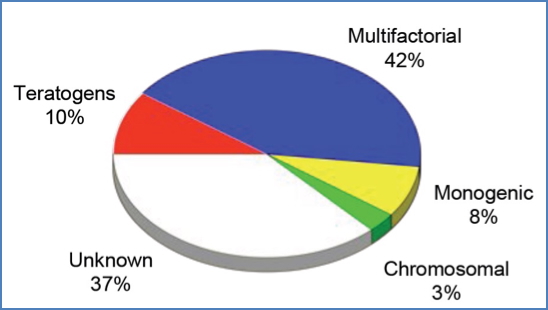 Causes of Birth Defects
