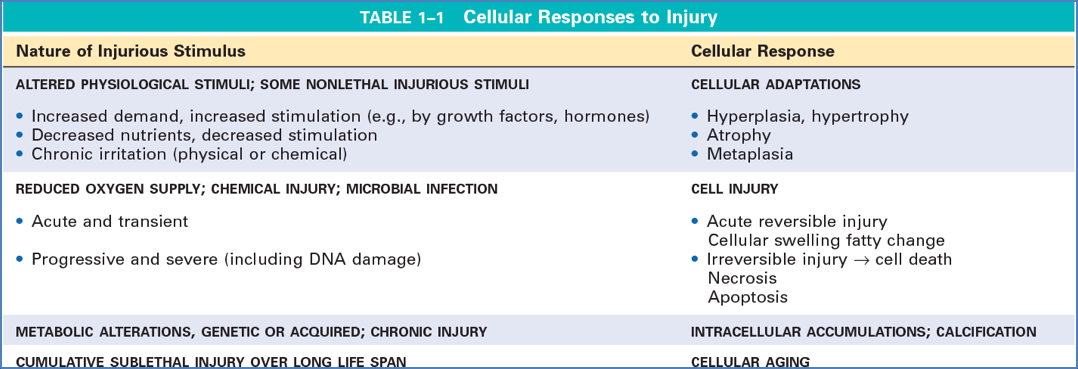 Cellular Responses to Stress & Noxious Stimuli
